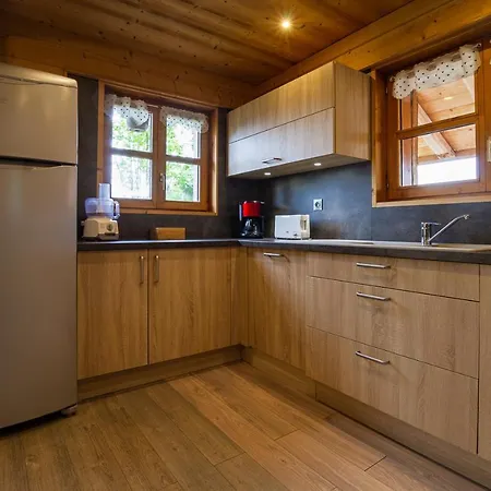 13 Personnes-le Vanvolet Holiday home Les Saisies