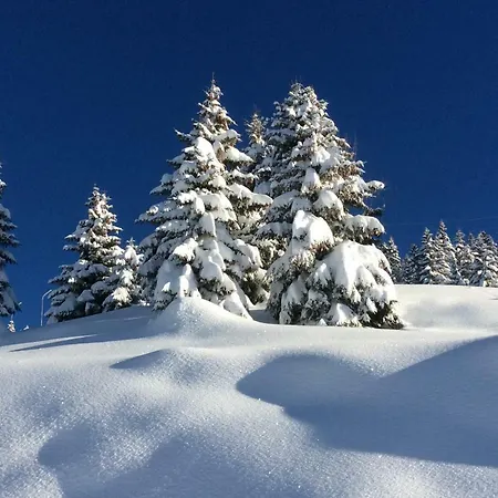 13 Personnes-le Vanvolet Holiday home